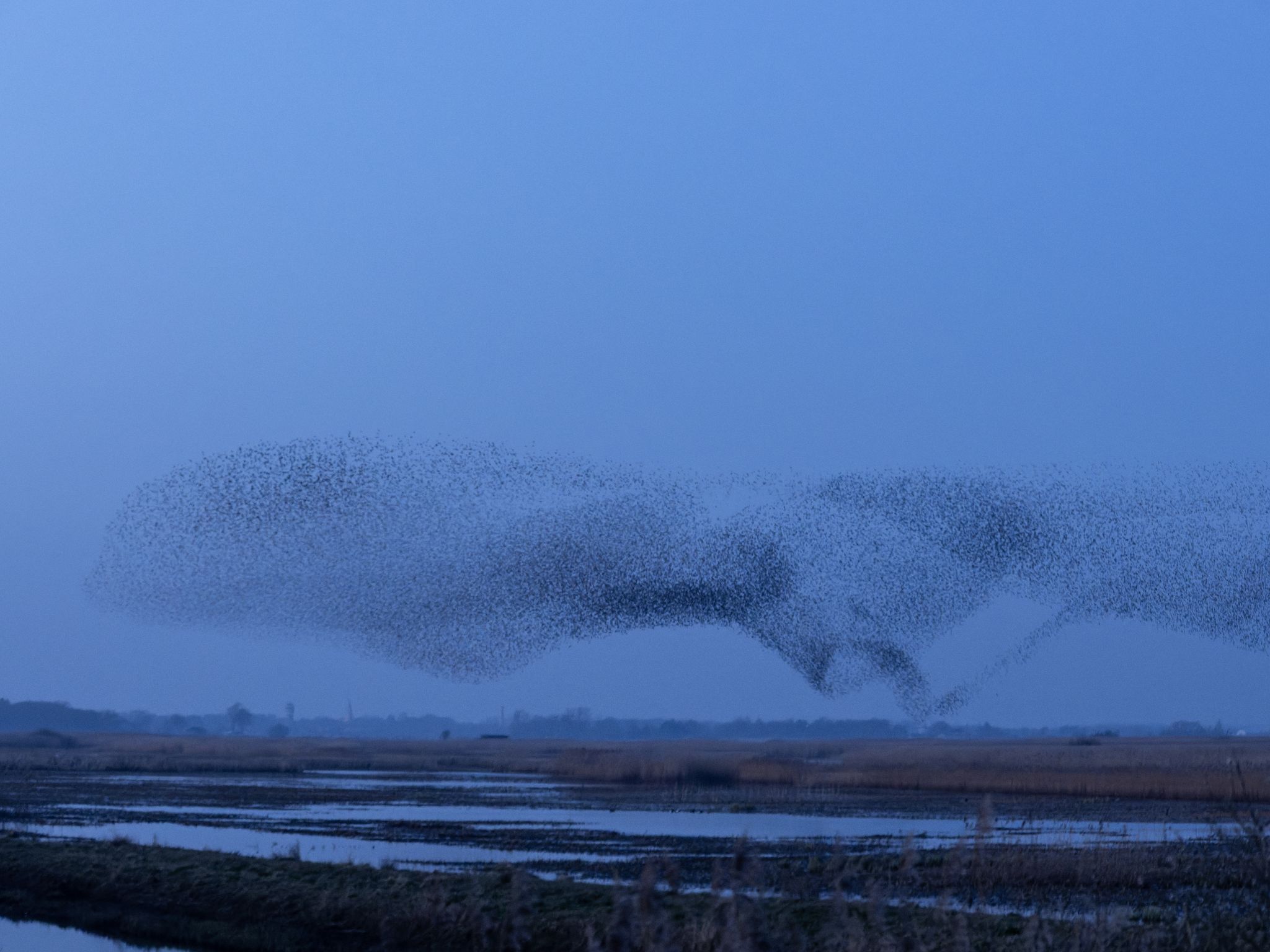 260319 2001 J  2JR0300 DxO DeepPRIME 3